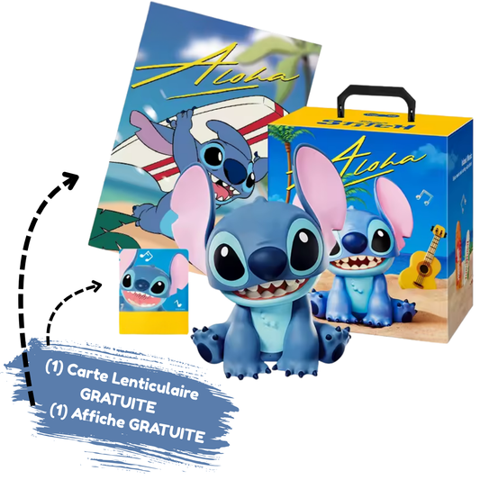 Haut-Parleur  Ohana Portable